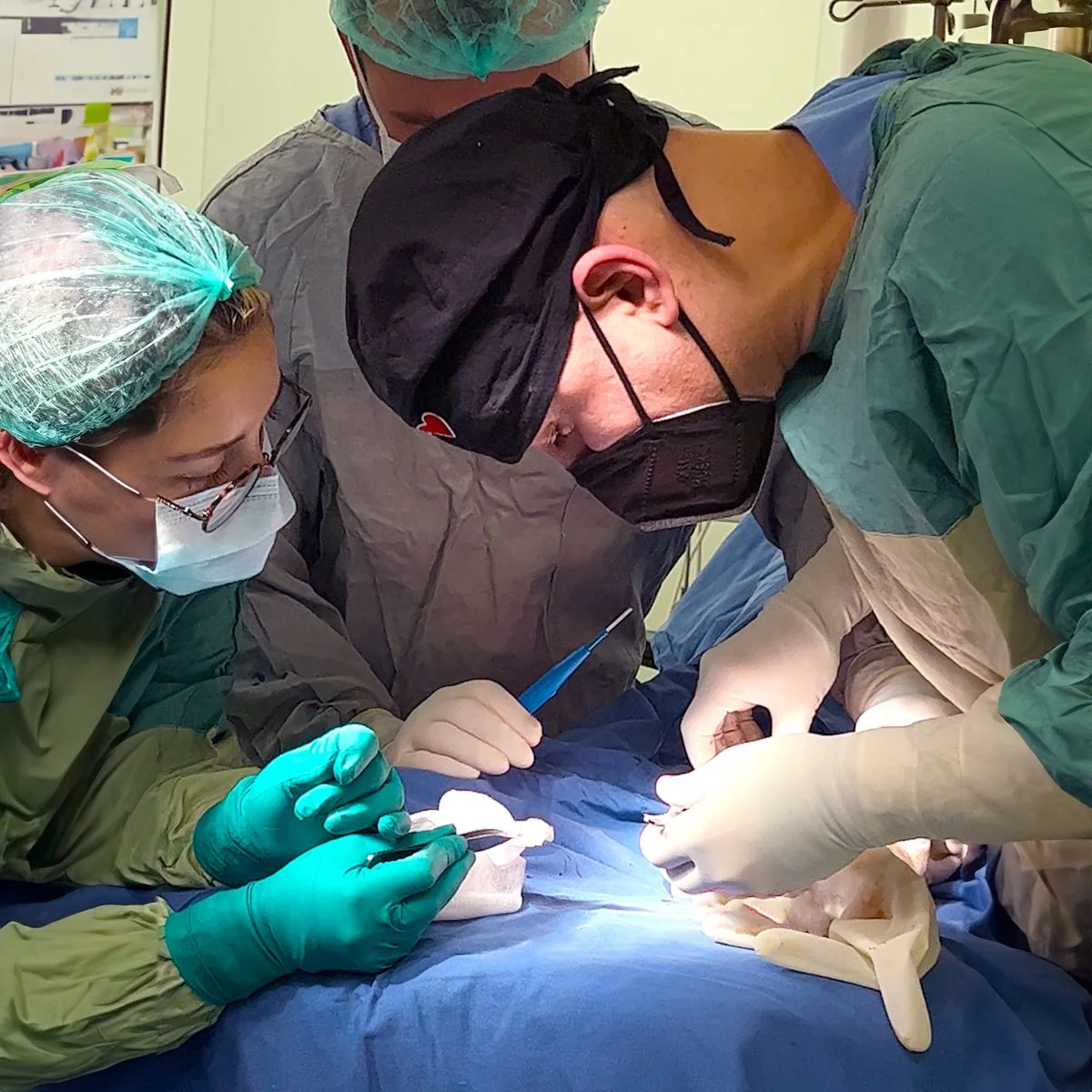 Prof. Dr. Yavuz Arıkan - Ortopedi ve Travmatoloji Uzmanı, İstanbul Beşiktaş